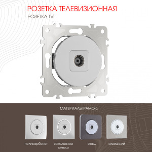 Розетка Am-202 202.43-1.silver