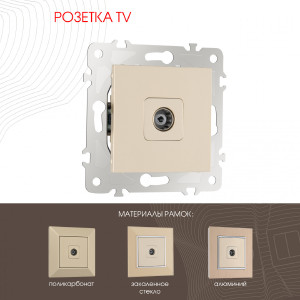 Розетка Am-203 203.43-1.shampan