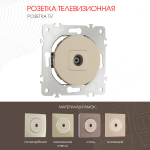 Розетка Am-202 202.43-1.shampan