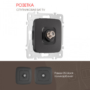 Розетка Am-205 205.42-1.black