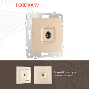 Розетка Am-206 206.43-1.shampan