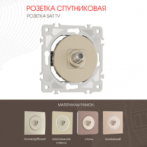 Розетка Am-202 202.42-1.shampan