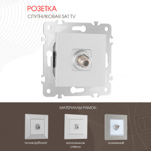 Розетка Am-203 203.42-1.silver