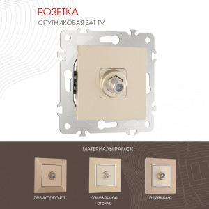 Розетка Am-203 203.42-1.shampan