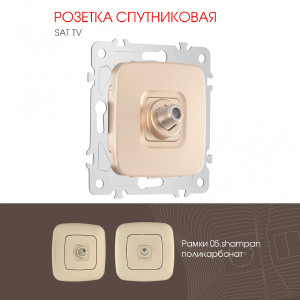 Розетка Am-205 205.42-1.shampan