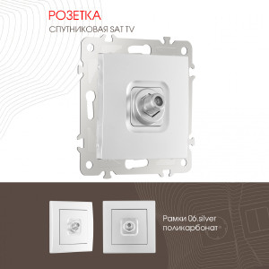 Розетка Am-206 206.42-1.silver