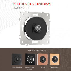 Розетка Am-202 202.42-1.black