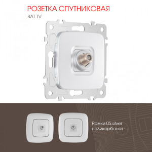 Розетка Am-205 205.42-1.silver