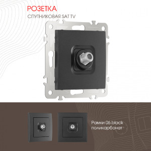 Розетка Am-206 206.42-1.black