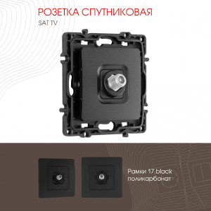 Розетка Am-217 217.42-1.black