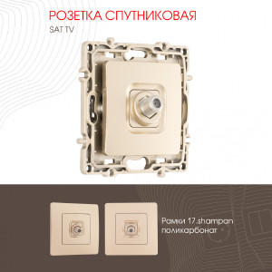 Розетка Am-217 217.42-1.shampan