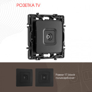 Розетка Am-217 217.43-1.black