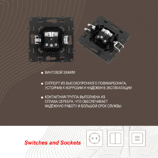 Розетка Am-217 217.43-1.black