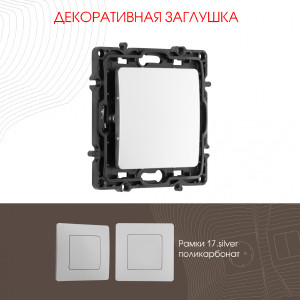 Накладка на механизм Am-217 217.50-1.silver