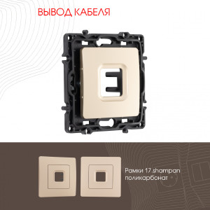 Накладка на механизм Am-217 217.49-1.shampan