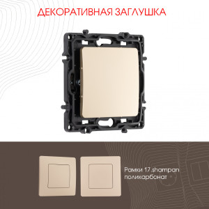 Накладка на механизм Am-217 217.50-1.shampan