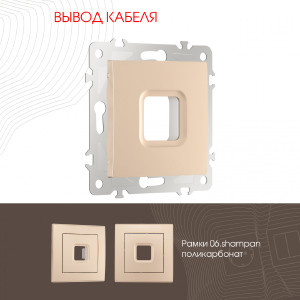 Накладка на механизм Am-206 206.49-1.shampan