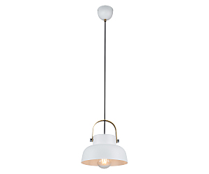 Светильник подвесной Астерия 08458-1A,01