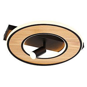 Светильник потолочный Olika 4438-2C