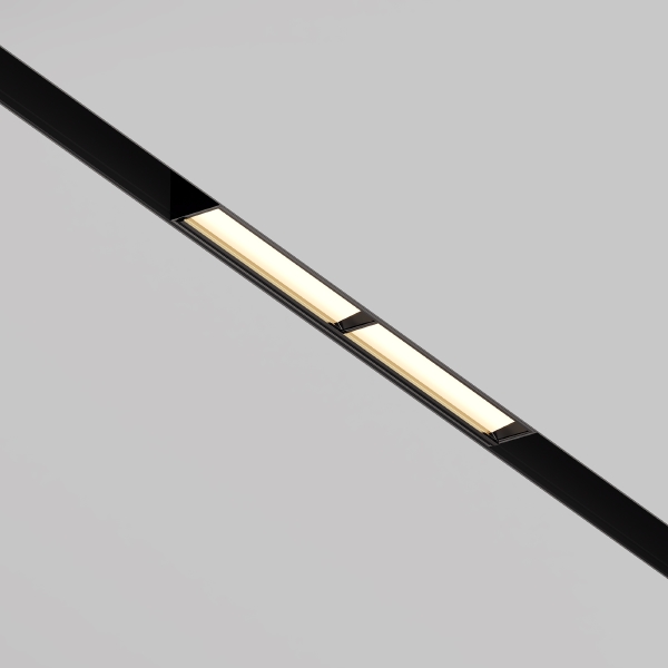 Трековый светильник Parete TR106-2-12W3K-B