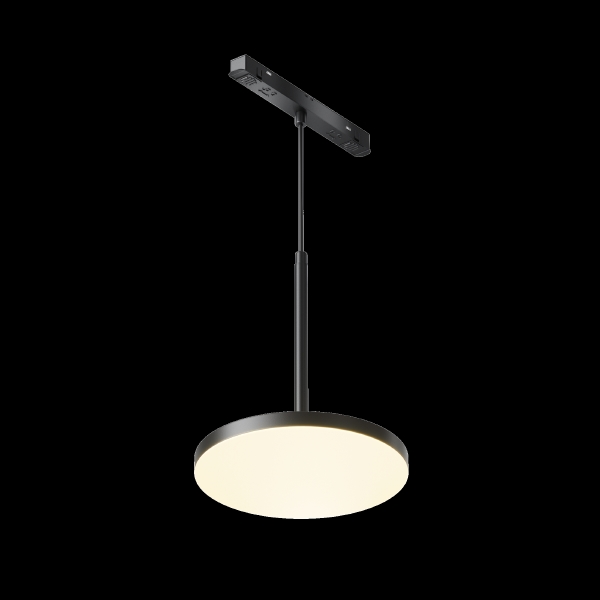 Трековый светильник Plato TR123-2-15W3K-B