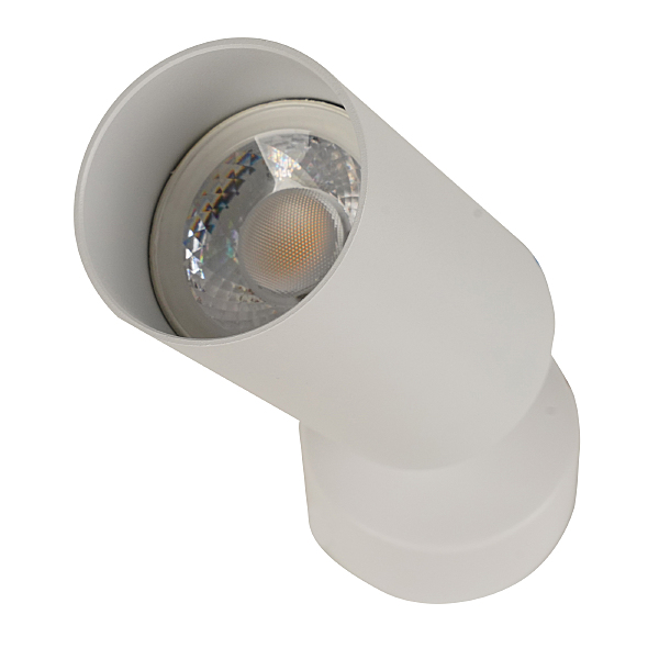 Светильник спот Aras BR08075