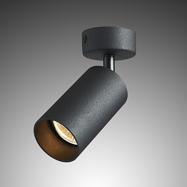 Светильник спот Aras BR08076