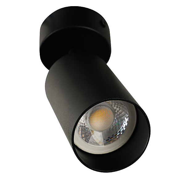 Светильник спот Aras BR08076