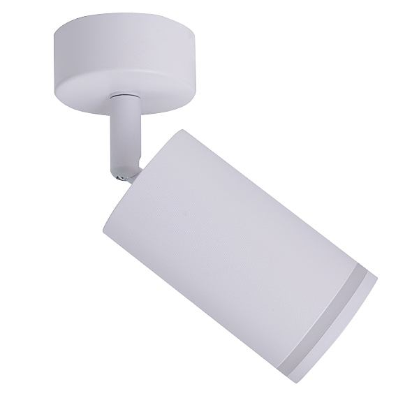 Светильник спот Aras BR08077