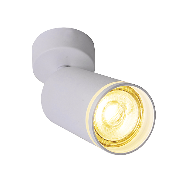 Светильник спот Aras BR08077