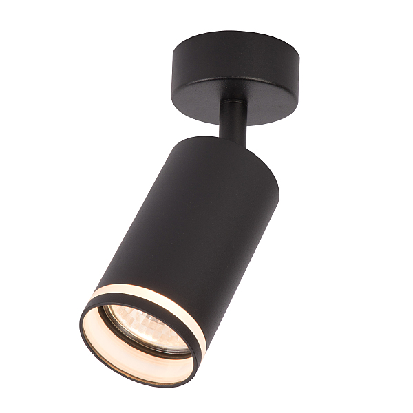 Светильник спот Aras BR08078