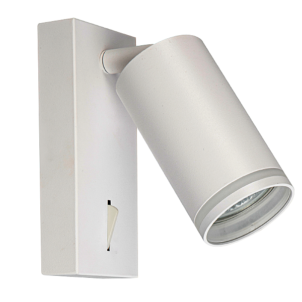 Светильник спот Aras BR08079