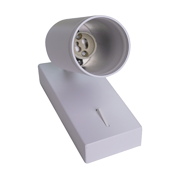 Светильник спот Aras BR08079