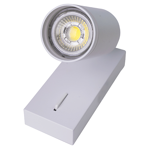 Светильник спот Aras BR08079