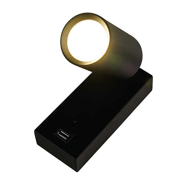 Светильник спот Aras BR08082