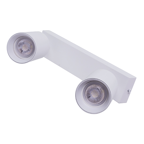 Светильник спот Aras BR08083