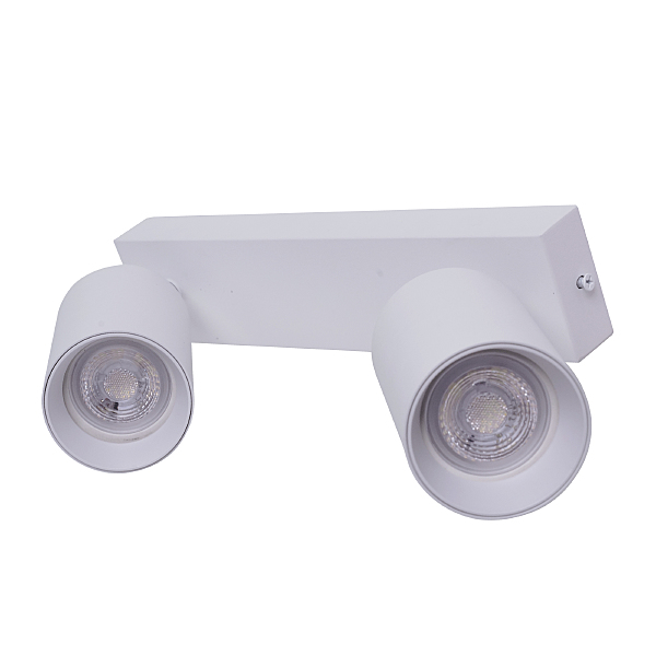 Светильник спот Aras BR08083