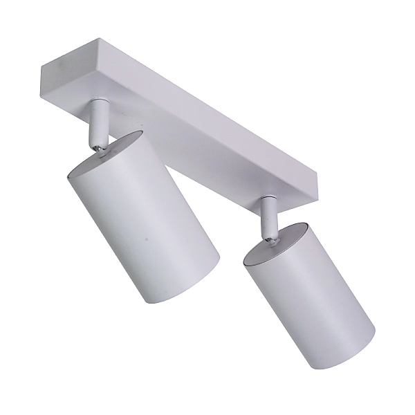 Светильник спот Aras BR08083