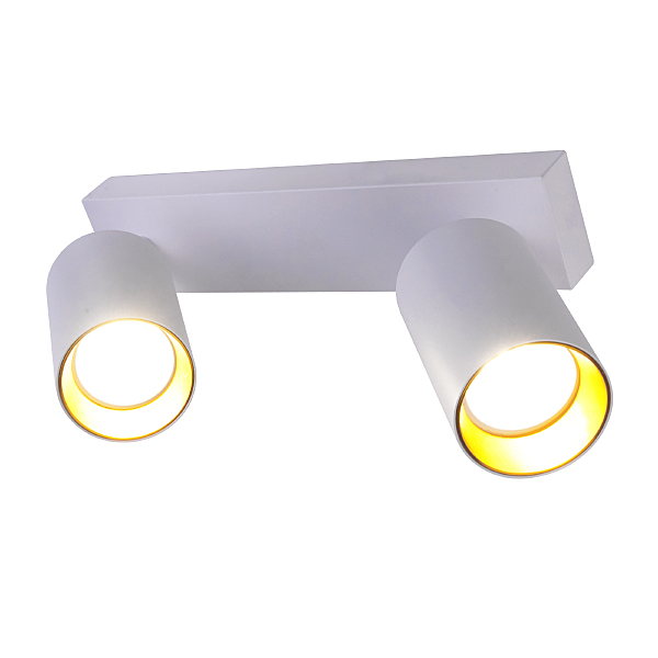 Светильник спот Aras BR08084