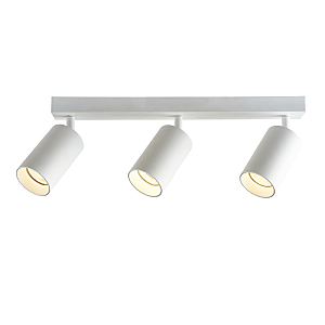 Светильник спот Aras BR08087