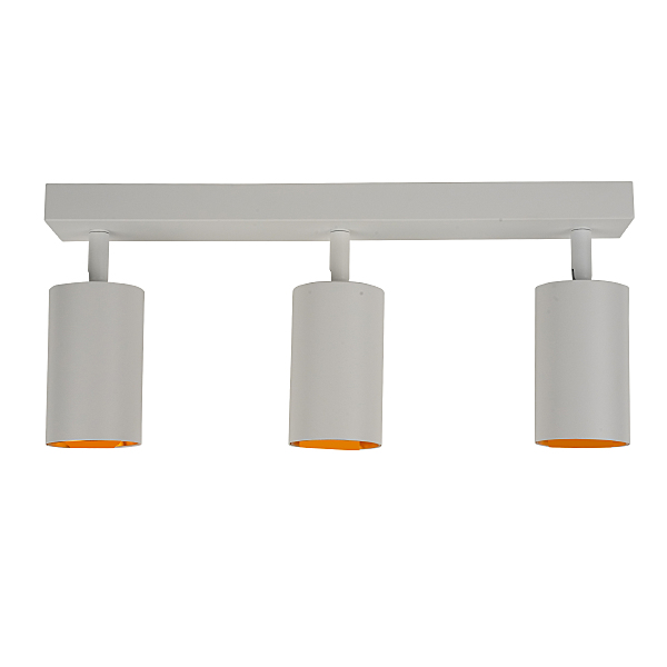 Светильник спот Aras BR08088