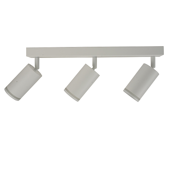 Светильник спот Aras BR08091