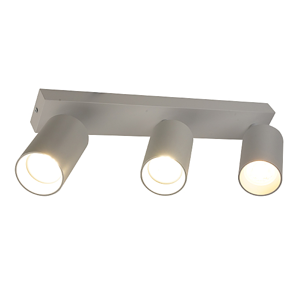 Светильник спот Aras BR08091