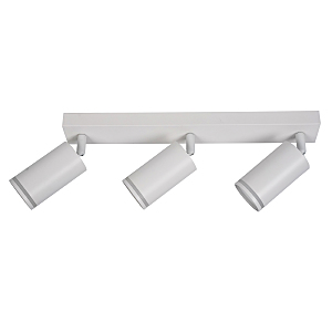 Светильник спот Aras BR08091