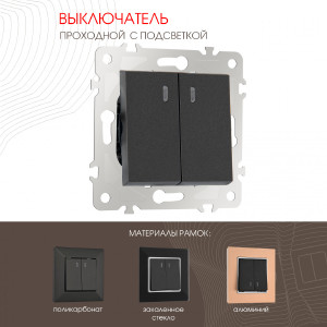 Выключатель Am-203 203.33-2.black