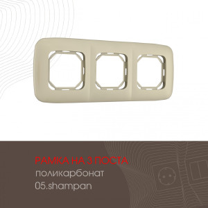 Рамка Am-505.05 505.05-3.shampan