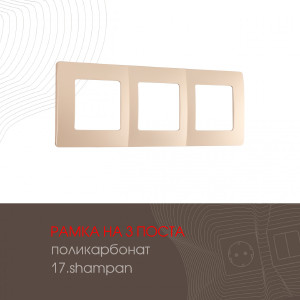 Рамка Am-517.17 517.17-3.shampan