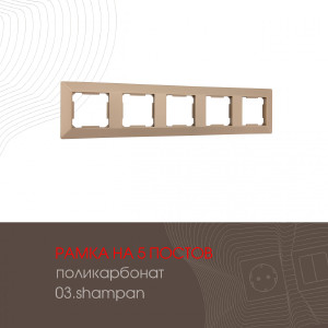 Рамка Am-503.03 503.03-5.shampan
