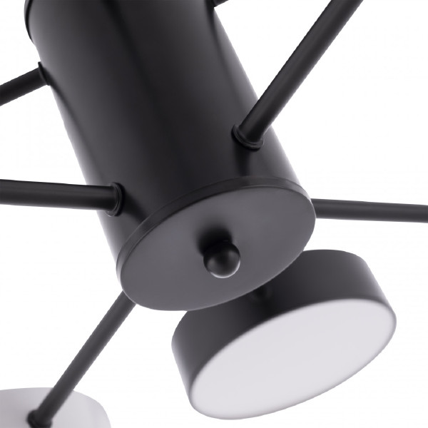 Потолочная люстра Ferrara 250906/8B Bk/Wh