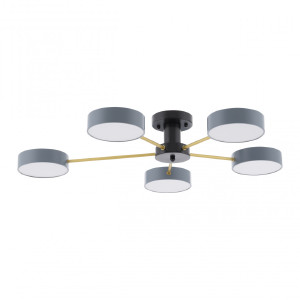 Потолочная люстра Ferrara 252006/5 Bk/Gr